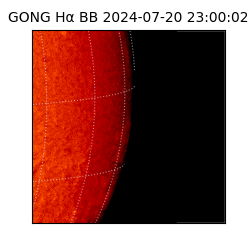 gong - 2024-07-20T23:00:02