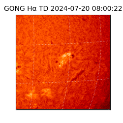 gong - 2024-07-20T08:00:22