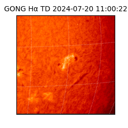 gong - 2024-07-20T11:00:22