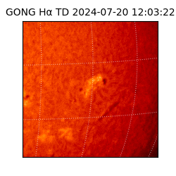 gong - 2024-07-20T12:03:22