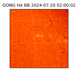 gong - 2024-07-20T02:00:02