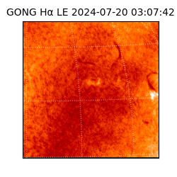 gong - 2024-07-20T03:07:42