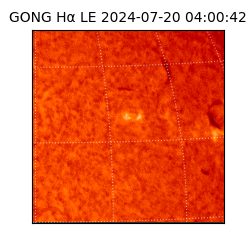 gong - 2024-07-20T04:00:42