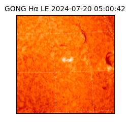 gong - 2024-07-20T05:00:42