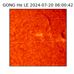 gong - 2024-07-20T06:00:42