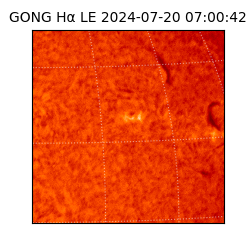 gong - 2024-07-20T07:00:42