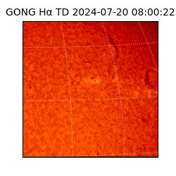 gong - 2024-07-20T08:00:22