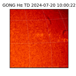 gong - 2024-07-20T10:00:22