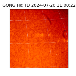 gong - 2024-07-20T11:00:22