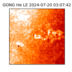 gong - 2024-07-20T03:07:42