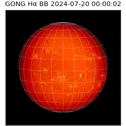 gong - 2024-07-20T00:00:02