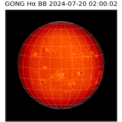 gong - 2024-07-20T02:00:02