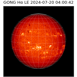 gong - 2024-07-20T04:00:42