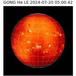 gong - 2024-07-20T05:00:42