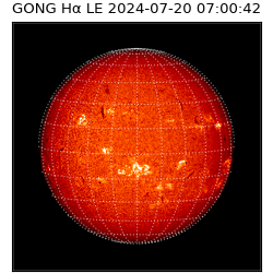 gong - 2024-07-20T07:00:42