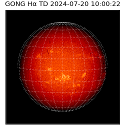 gong - 2024-07-20T10:00:22