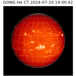 gong - 2024-07-20T19:00:42