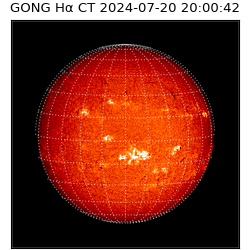 gong - 2024-07-20T20:00:42