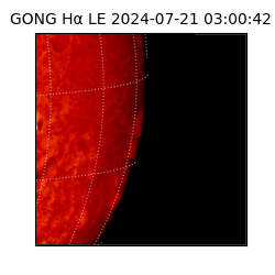 gong - 2024-07-21T03:00:42