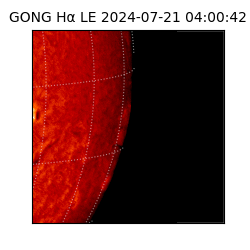 gong - 2024-07-21T04:00:42