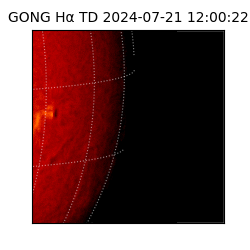 gong - 2024-07-21T12:00:22