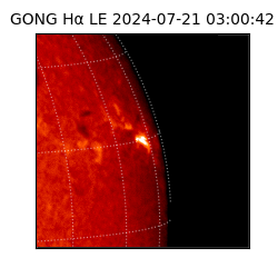 gong - 2024-07-21T03:00:42