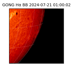 gong - 2024-07-21T01:00:02