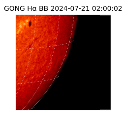 gong - 2024-07-21T02:00:02