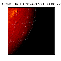 gong - 2024-07-21T09:00:22