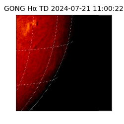 gong - 2024-07-21T11:00:22