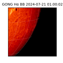 gong - 2024-07-21T01:00:02