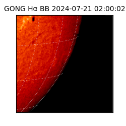 gong - 2024-07-21T02:00:02