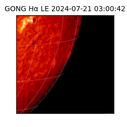 gong - 2024-07-21T03:00:42