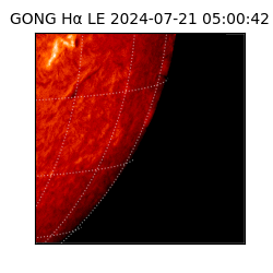 gong - 2024-07-21T05:00:42