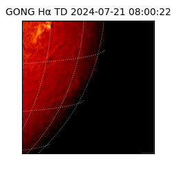 gong - 2024-07-21T08:00:22