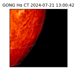 gong - 2024-07-21T13:00:42