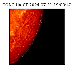 gong - 2024-07-21T19:00:42