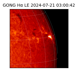 gong - 2024-07-21T03:00:42