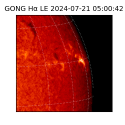 gong - 2024-07-21T05:00:42