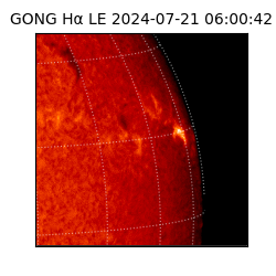 gong - 2024-07-21T06:00:42