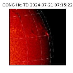 gong - 2024-07-21T07:15:22