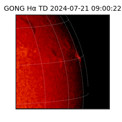 gong - 2024-07-21T09:00:22