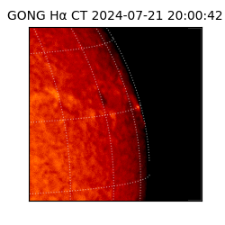 gong - 2024-07-21T20:00:42