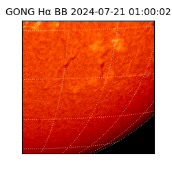 gong - 2024-07-21T01:00:02