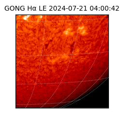 gong - 2024-07-21T04:00:42