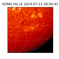 gong - 2024-07-21T06:00:42