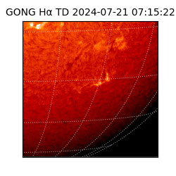 gong - 2024-07-21T07:15:22