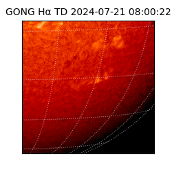 gong - 2024-07-21T08:00:22