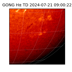 gong - 2024-07-21T09:00:22