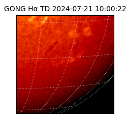 gong - 2024-07-21T10:00:22